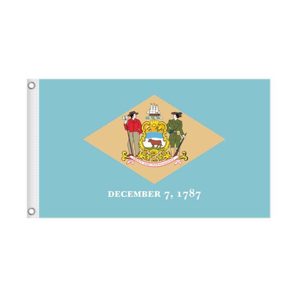 DELAWARE 3×5 State Flag Only