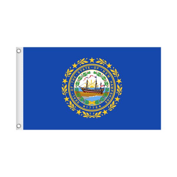 HAMPSHIRE 3×5 State Flag Only