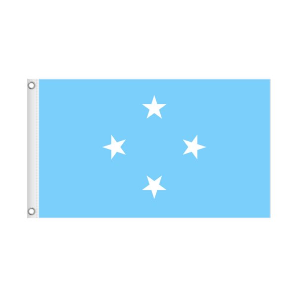 MICRONESIA 3×5 National Flag Only